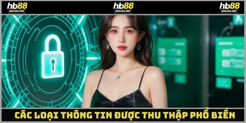 Các loại thông tin được thu thập phổ biến