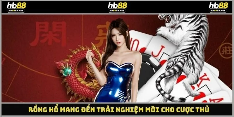Rồng hổ mang đến trải nghiệm mới cho cược thủ