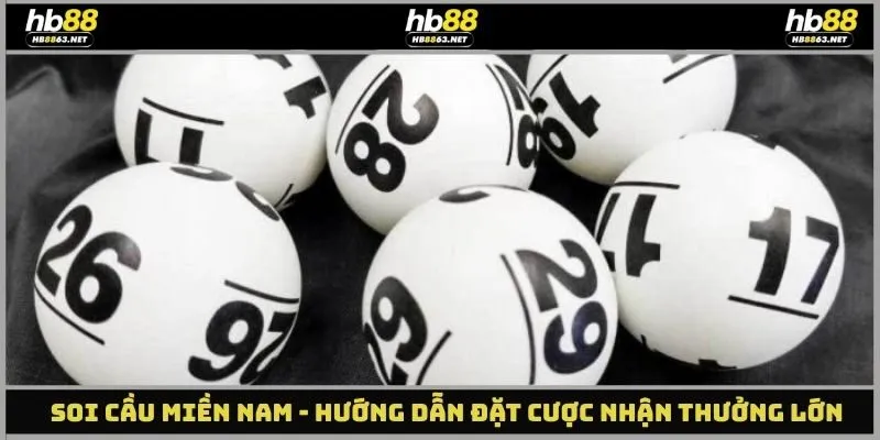 Soi Cầu Miền Nam