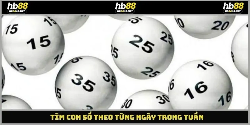 Tìm con số theo từng ngày trong tuần